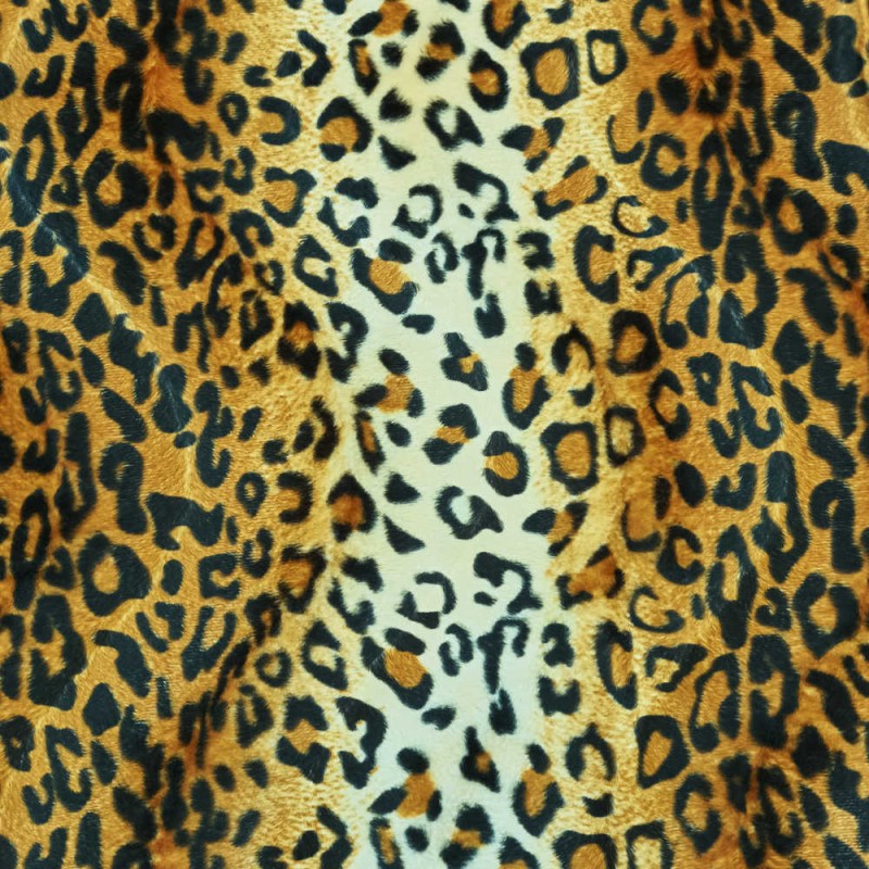 Pelo animal