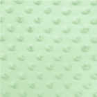 minky menta