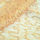 Tule estrelas