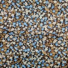 Flores silvestres kaki