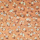 Primavera arena