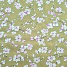 Sakura beig