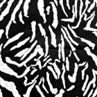 Zebra  negra