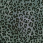 Leopardo gris