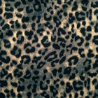 Leopardo oscuro