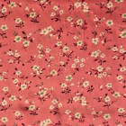 Primavera rosa