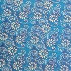Delhi azul